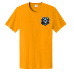 Gold - PC43 - FRONT